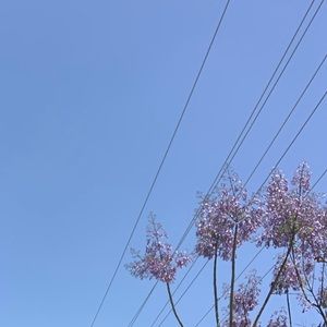 Meet your Posher, Arlyn